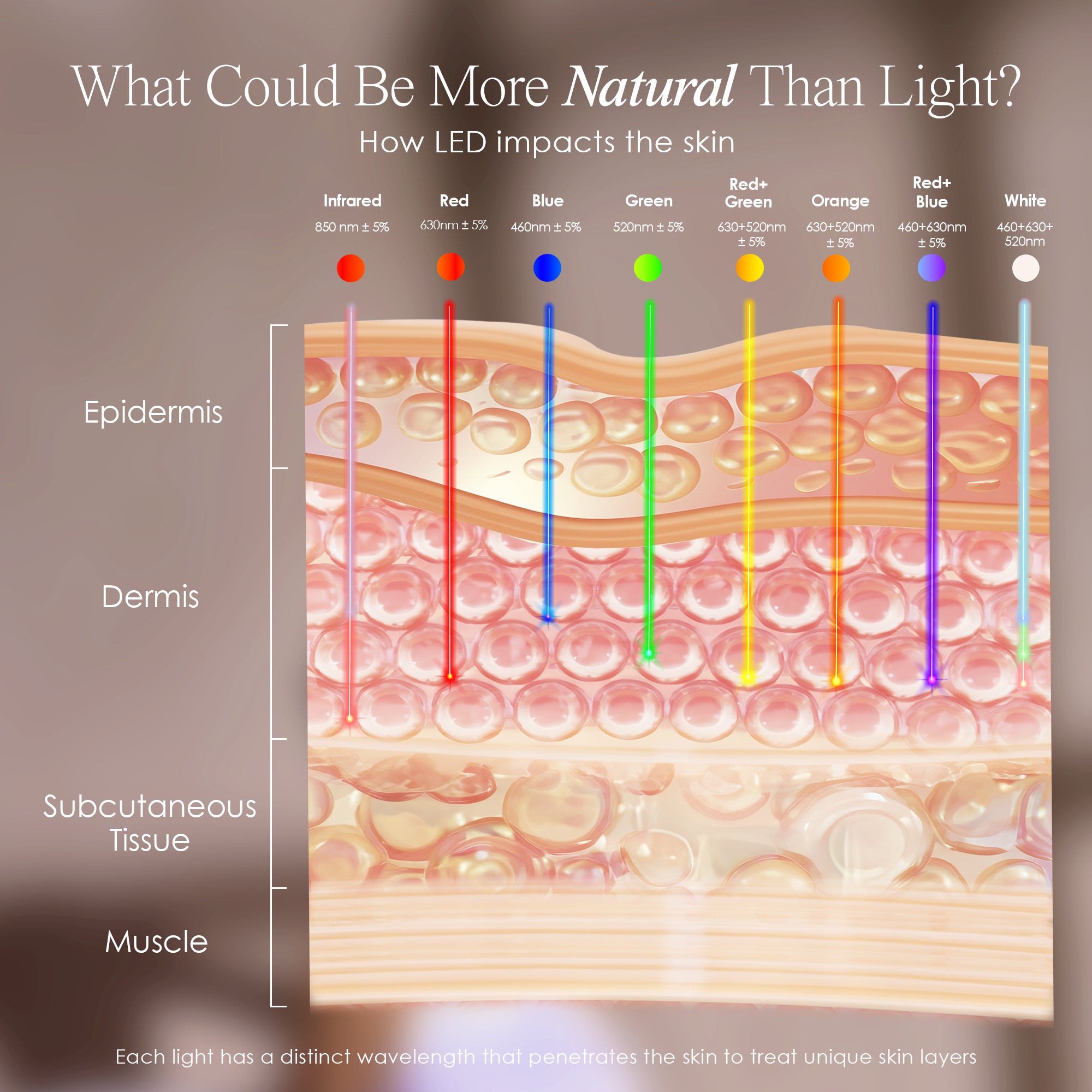 How LED impacts the skin - each light has a distinct wavelength that penetrates the skin to treat unique skin layers
